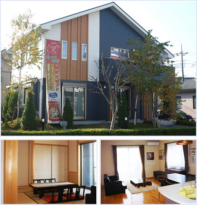 photos